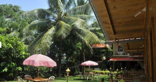 Lavish Wooden Cottages in Candolim, Candolim