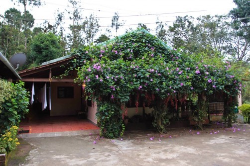 The Hidden Valley Homestay, Chikmagalur