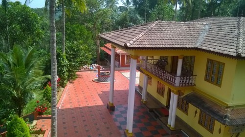 Pappy's Nest Resort, Wayanad